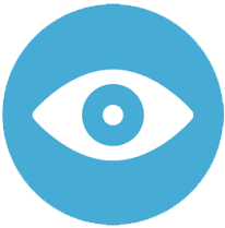 Our Vision
